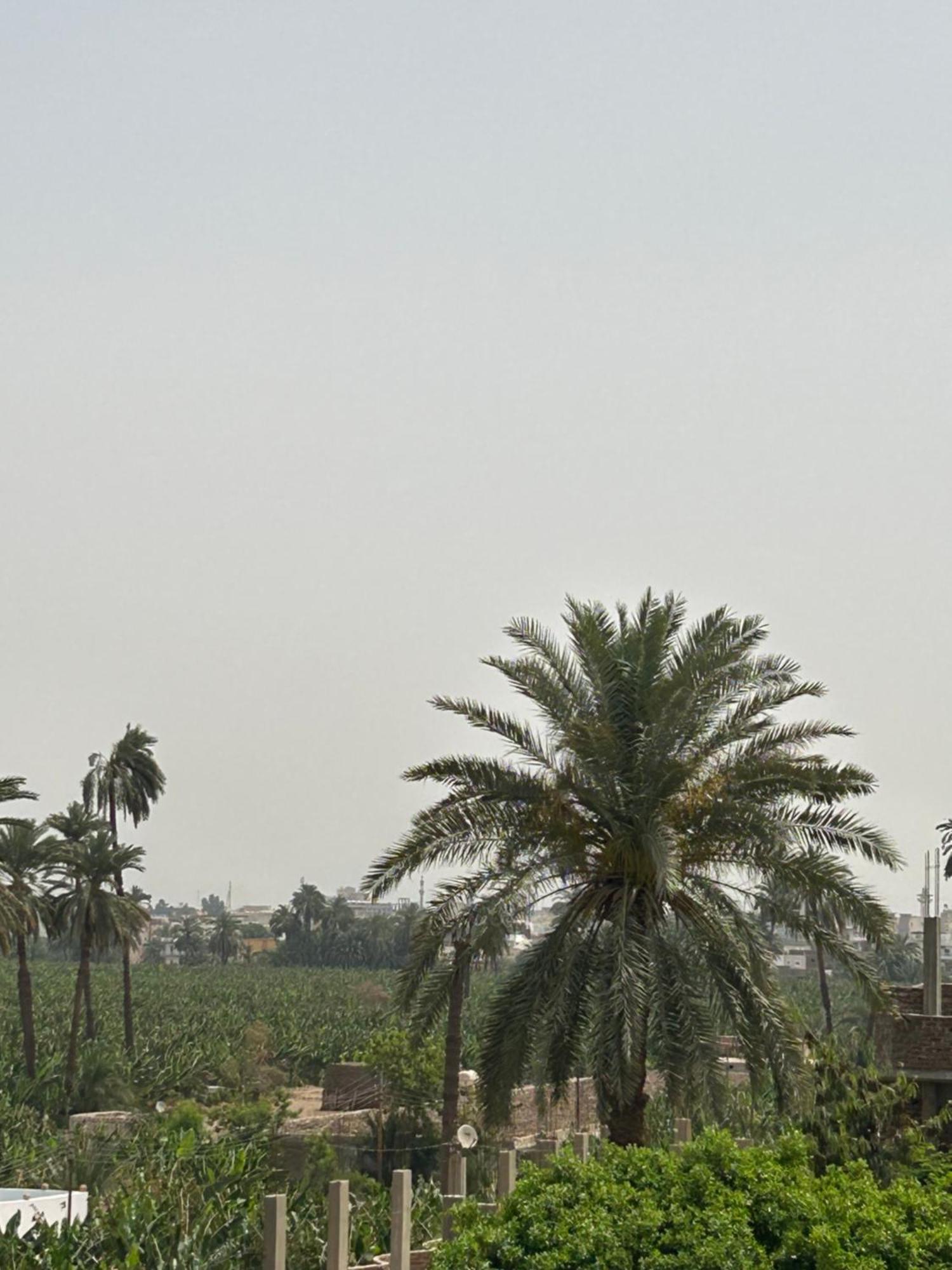 Lemon Tree Apartments Luxor Lel Agalta Exterior photo